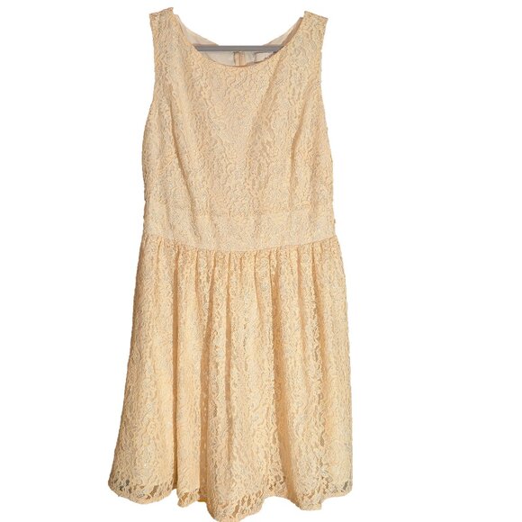 Ann Taylor LOFT Women Size 12 Sleeveless Lace Overlay Dress Beige Silver - Picture 1 of 3